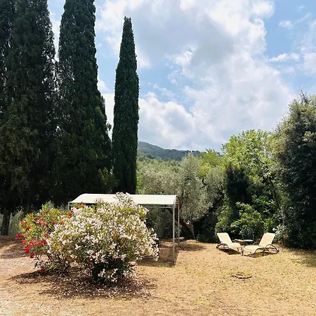 Podere Il Castellaccio Sant'agata Apartment