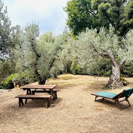 Lägenhet Podere Il Castellaccio Sant'agata *